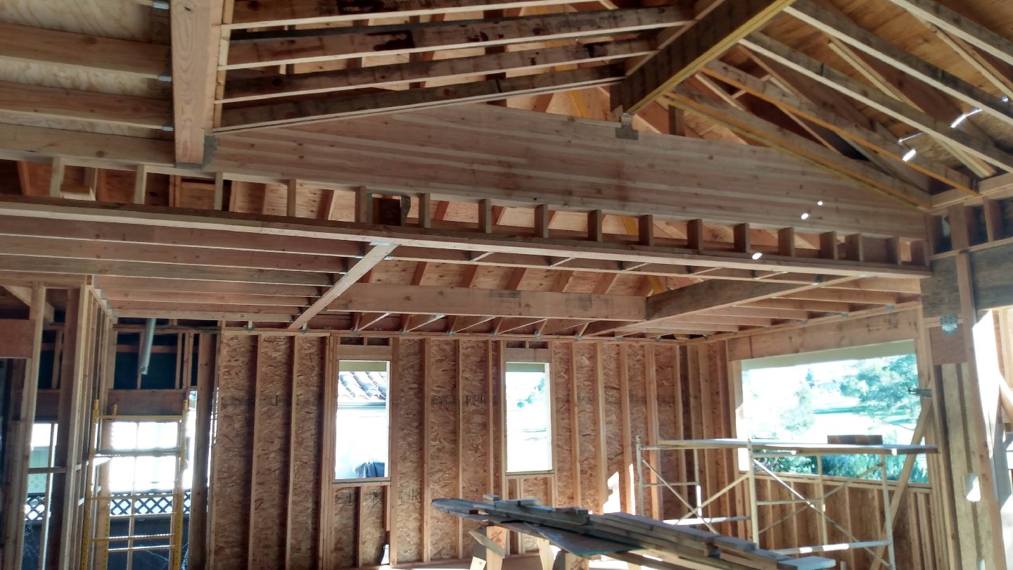 The inside of a house under construction, photographed from the floor. New
            douglas fir framing runs the full width: a vaulted ceiling with exposed
            rafters and collar ties, a long header spanning an opening, and stud walls
            with window openings cut through to the garden beyond. Scaffold and stacked
            lumber stand in the foreground.
